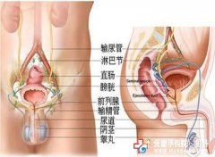 九江治疗慢性前列腺炎哪