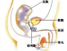 九江男科医院专家详解前列腺炎的症状